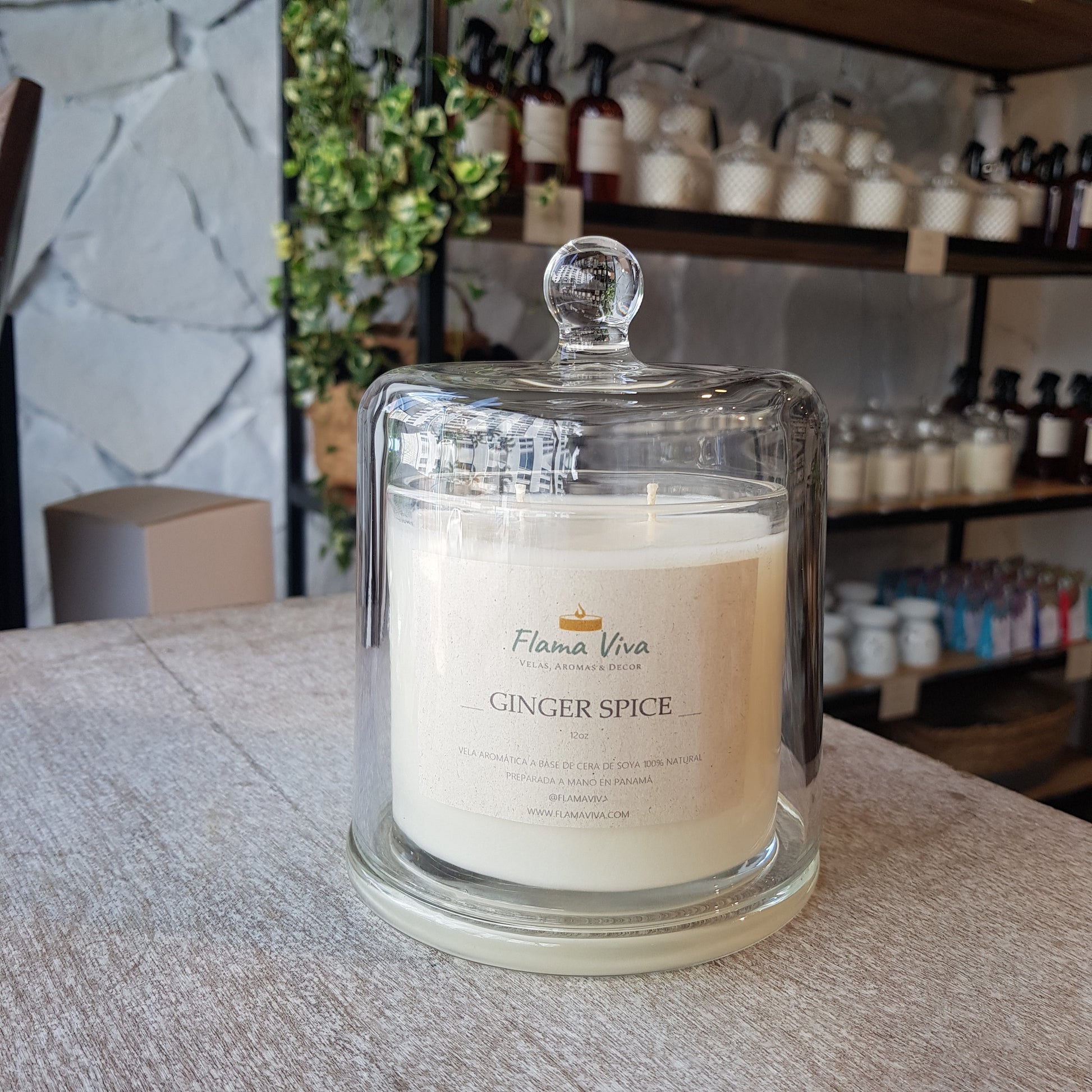 Vela Classic 12 oz 2 mechas - Flama Viva - Velas, Aromas & Decor