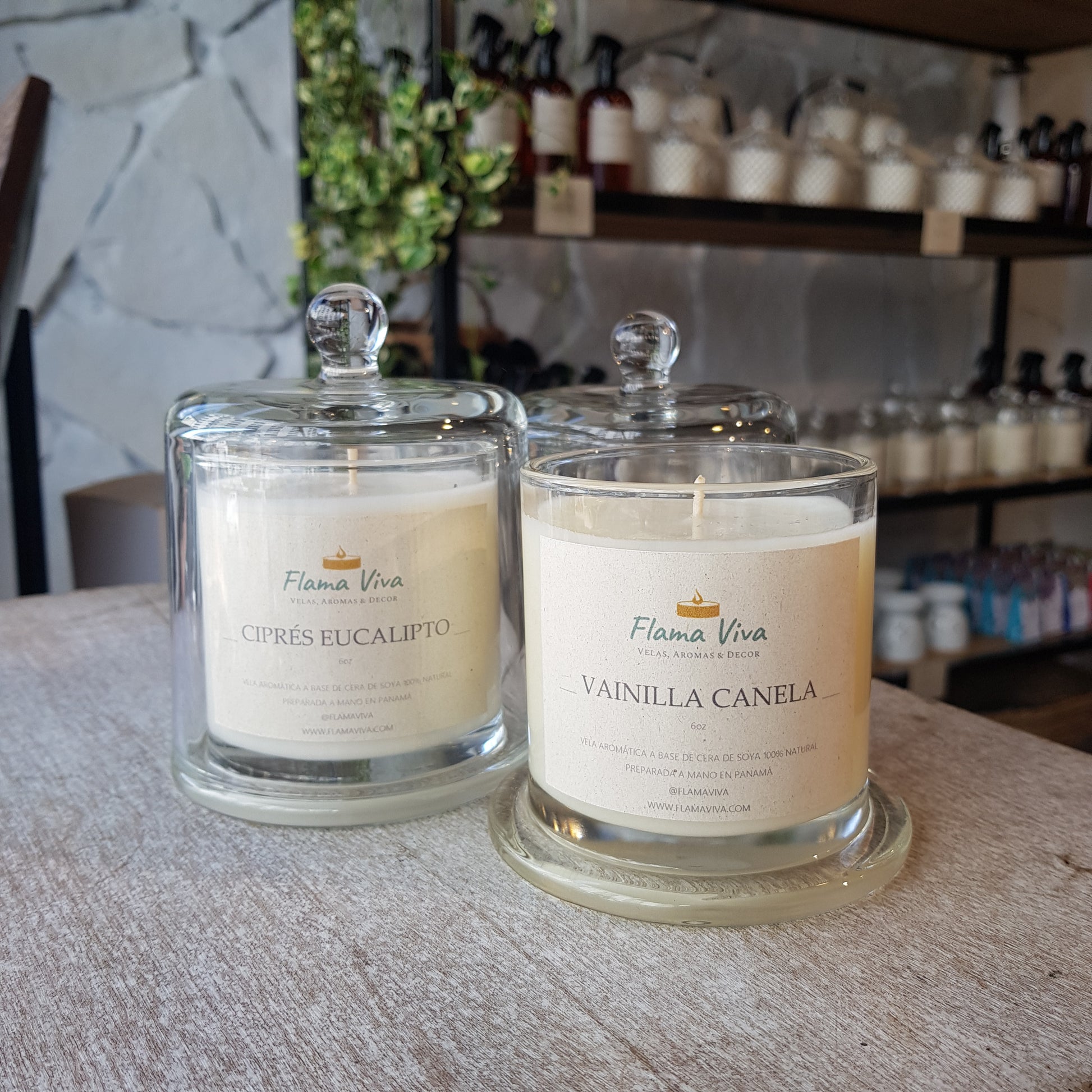 Vela Classic 6oz, 1 mecha - Flama Viva - Velas, Aromas & Decor